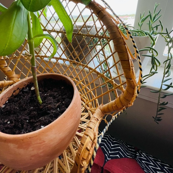 Vintage Peacock Chair Plant Stand - Picture 3 of 4